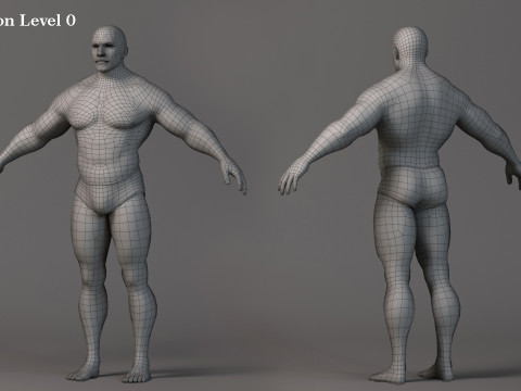 Male Base Muscle Rig 3D Model
