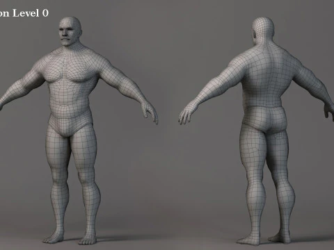 Male Base Muscle Rig 3D Model
