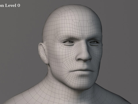 Male Base Muscle Rig 3D Model