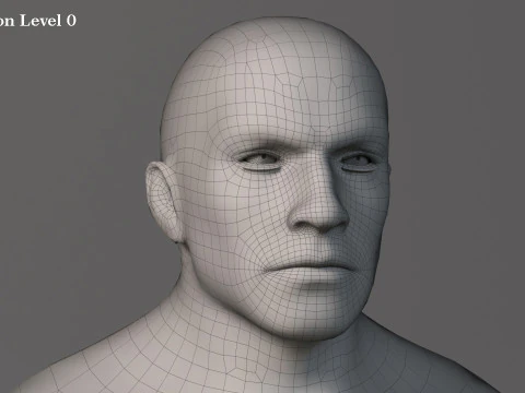 Male Base Muscle Rig 3D Model
