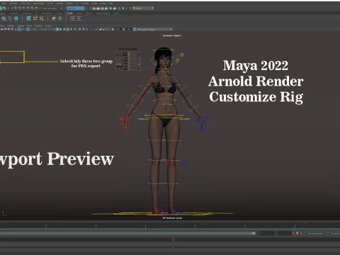 Female Base Model Rig 3D Model