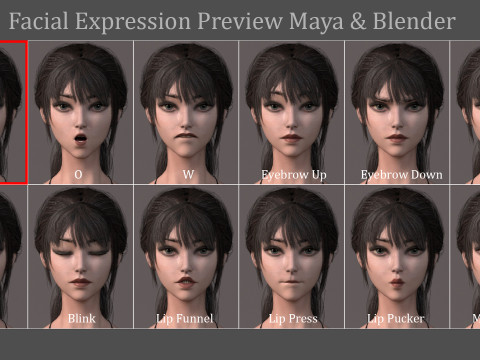 Female Base Model Rig Model 3D