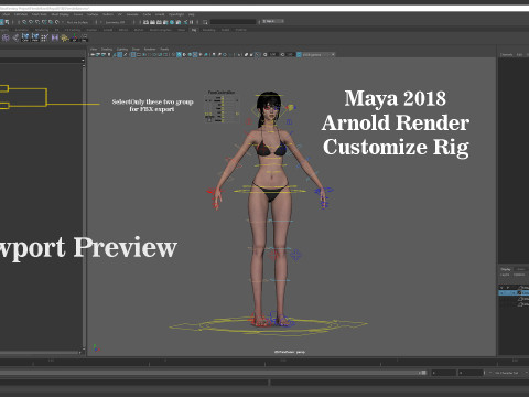 Female Base Model Rig Model 3D
