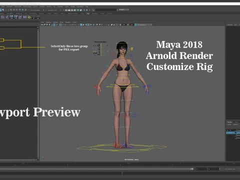 Female Base Model Rig 3D Model