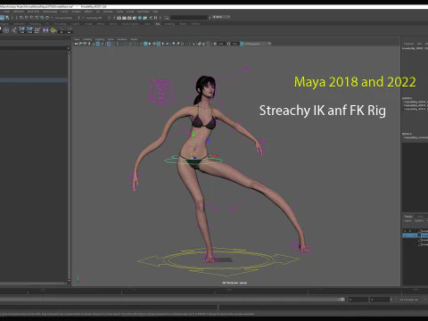 Female Base Model Rig 3D Model