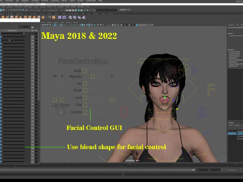 Female Base Model Rig 3D Model