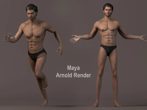 Male Base Rig 3D Model