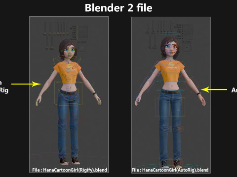 Hana Cartoon Girl Rig 3D Model