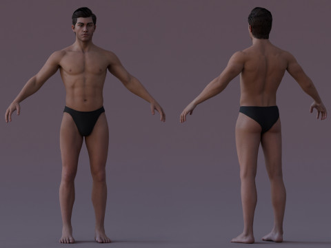 Impianto base maschile Modello 3D