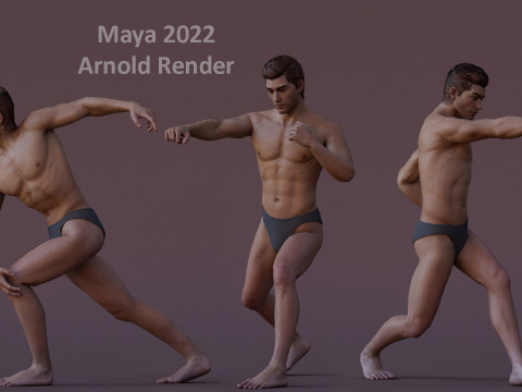 Impianto base maschile Modello 3D