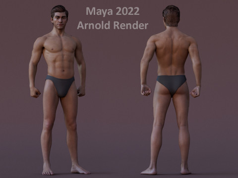 Impianto base maschile Modello 3D