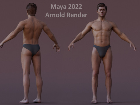 Impianto base maschile Modello 3D