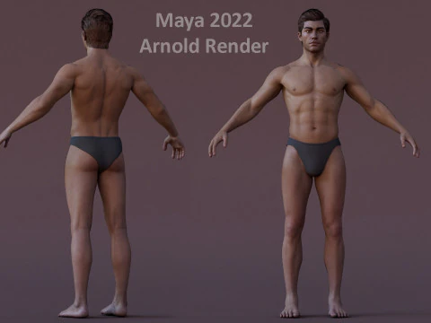 Male Base Rig 3D Model