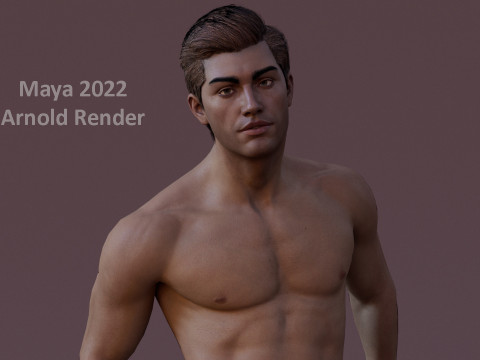 Impianto base maschile Modello 3D