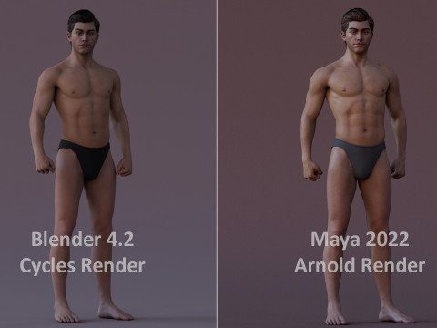 Impianto base maschile Modello 3D