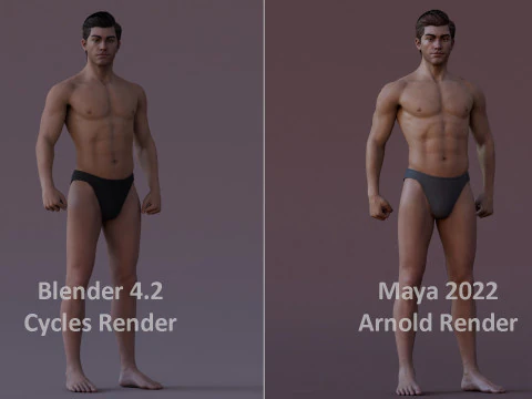 Male Base Rig 3D Model
