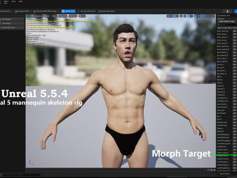 Impianto base maschile Modello 3D