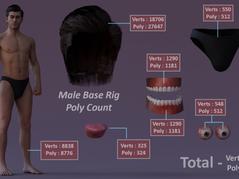 Impianto base maschile Modello 3D