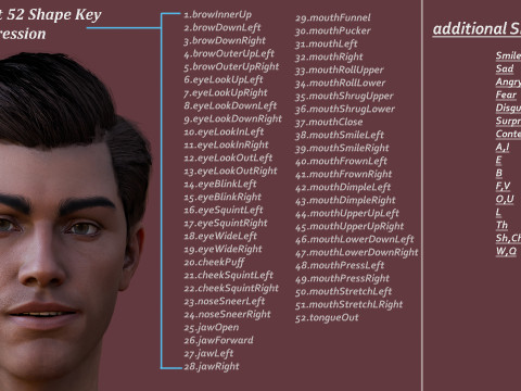 Impianto base maschile Modello 3D
