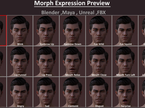 Impianto base maschile Modello 3D