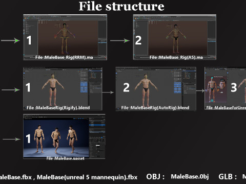 Impianto base maschile Modello 3D