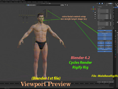 Impianto base maschile Modello 3D