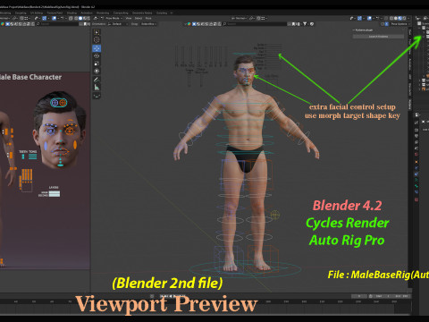 Impianto base maschile Modello 3D