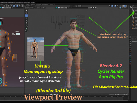 Impianto base maschile Modello 3D