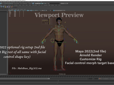 Impianto base maschile Modello 3D