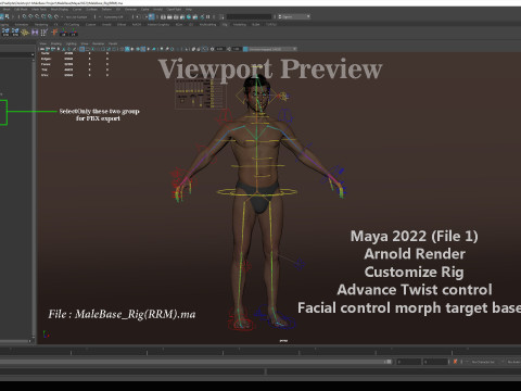 Impianto base maschile Modello 3D