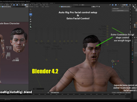 Impianto base maschile Modello 3D