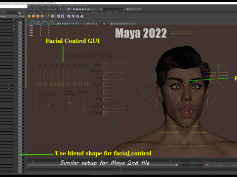 Impianto base maschile Modello 3D