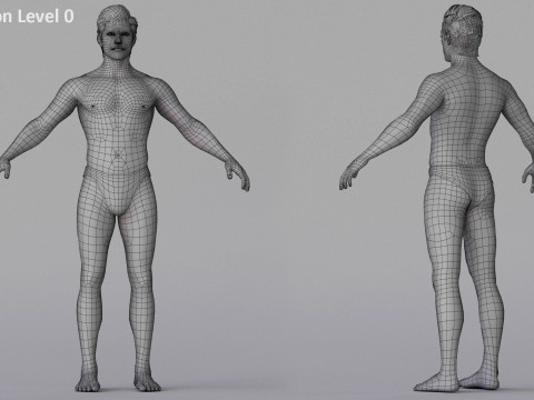 Impianto base maschile Modello 3D