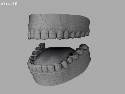 Impianto base maschile Modello 3D