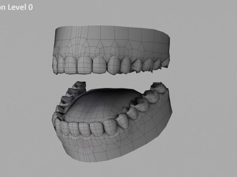 Male Base Rig 3D Model