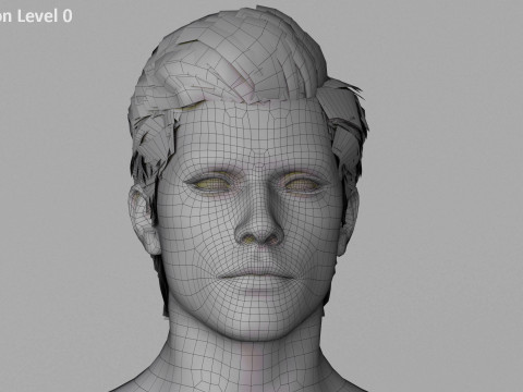 Impianto base maschile Modello 3D