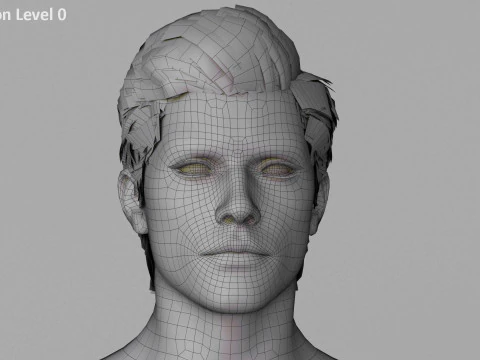 Male Base Rig 3D Model