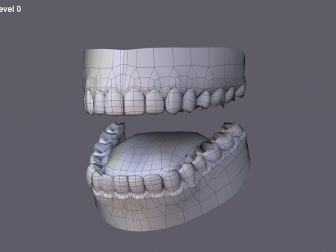 男性基础钻机 3D 模型