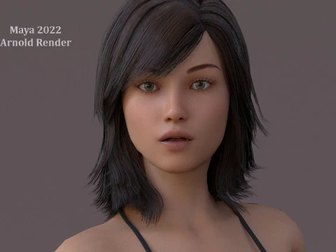女性基础钻机 3D 模型