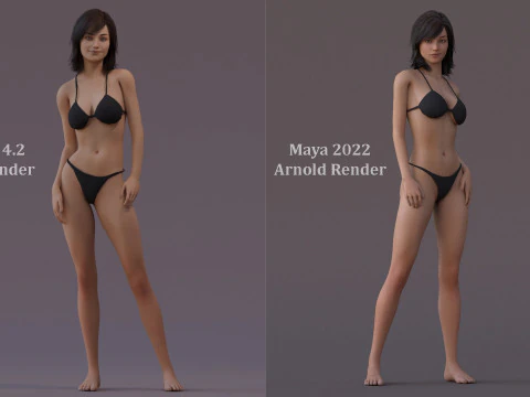 女性基础钻机 3D 模型
