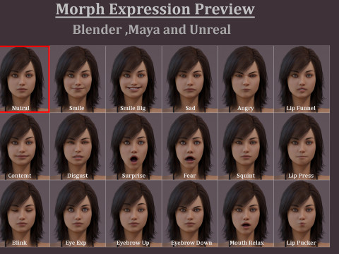 メスベースリグ 3Dモデル