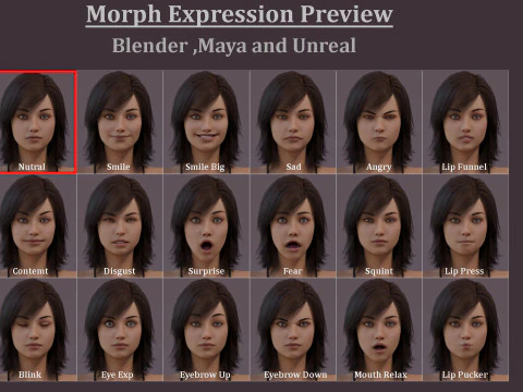 女性基础钻机 3D 模型