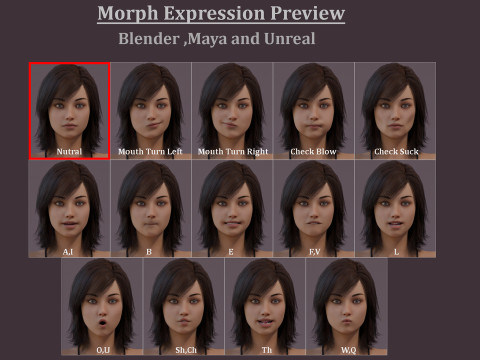 メスベースリグ 3Dモデル