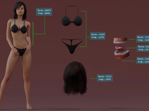 女性基础钻机 3D 模型