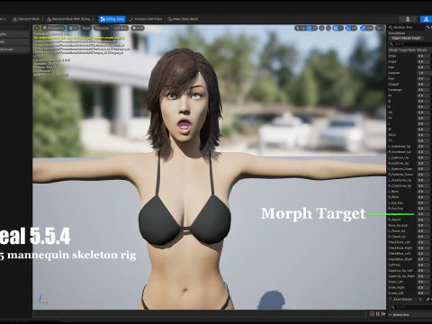 女性基础钻机 3D 模型