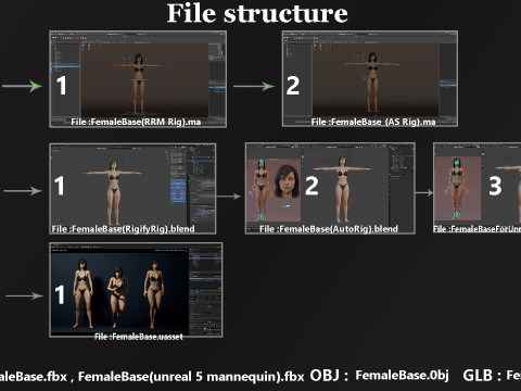 メスベースリグ 3Dモデル