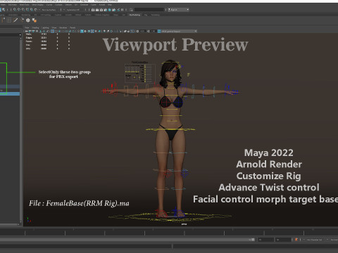 メスベースリグ 3Dモデル