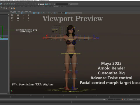 女性基础钻机 3D 模型