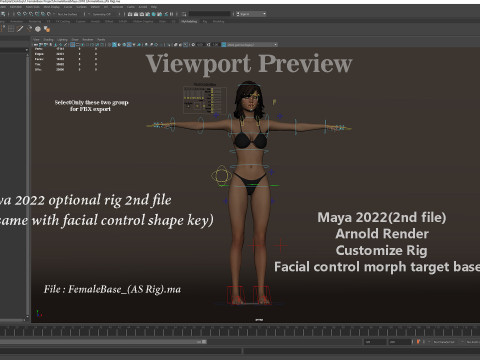 メスベースリグ 3Dモデル