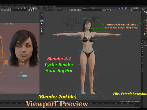女性基础钻机 3D 模型